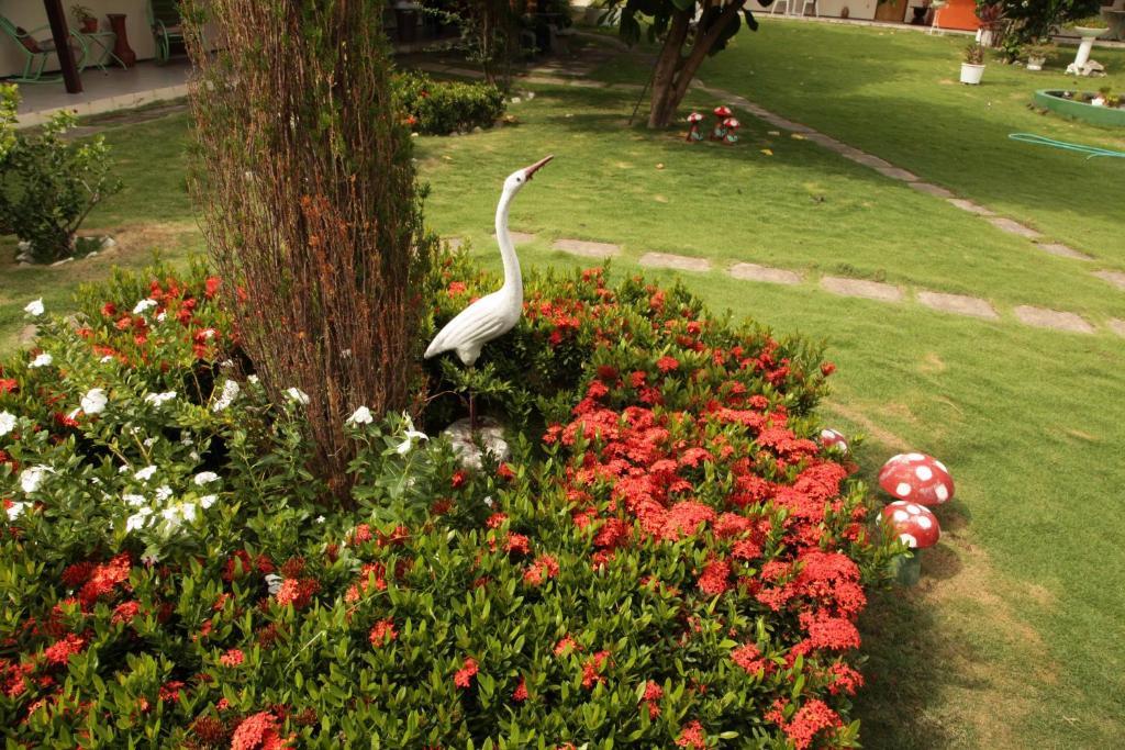 Hotel Jardim Fortaleza (Ceara) Exterior foto